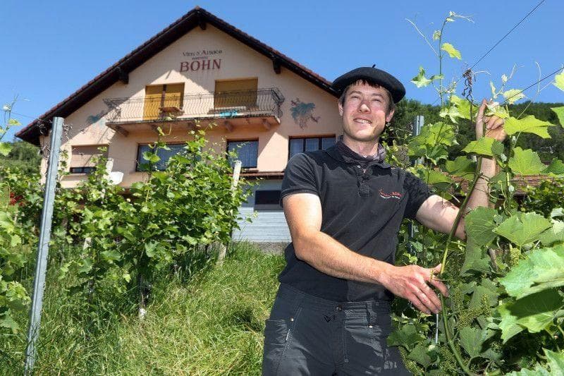 Wijnmaker van Domaine Bohn tussen de wijnranken voor het domein